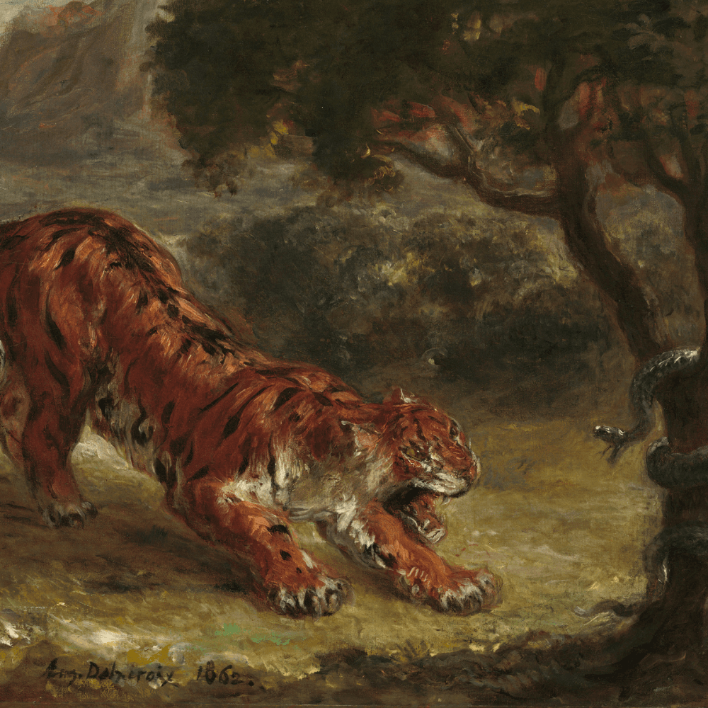 tiger